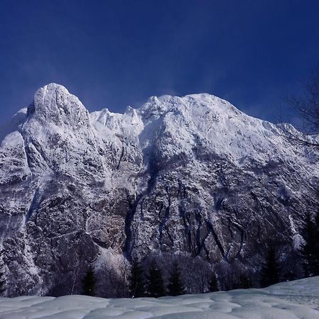 La Marmote Albergo Diffuso Di Paluzza Faas Zewnętrze zdjęcie